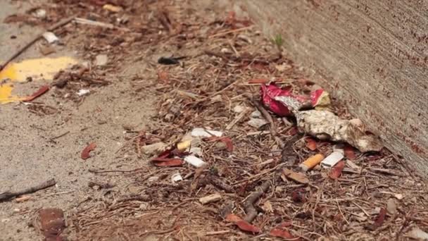 Stoeprand Parkeerplaats Met Sigarettenpeuken Oude Geplet Blikje Waterfles Vuil Zand — Stockvideo