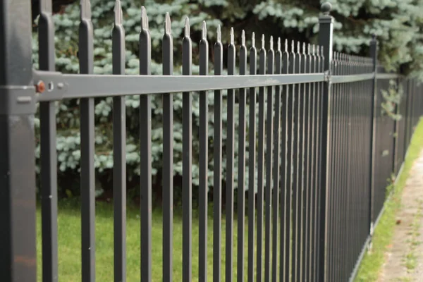 long black metal bar fence with pine tree and grass behind it, fence tight in shot with top in frame