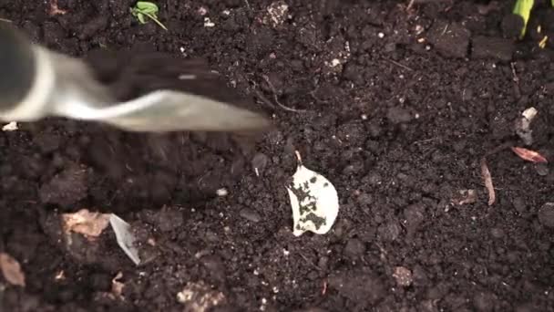 Small Silver Black Gardening Shovel Mixing Dirt Soil Various Patterns — Stock Video