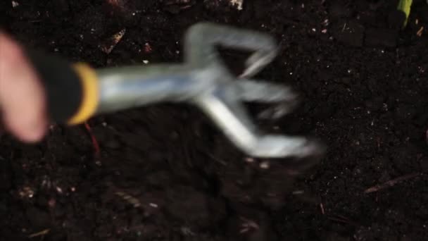 Kleines Silberfarbenes Und Schwarzes Gartenmistgabelwerkzeug Das Schmutzboden Verschiedenen Mustern Mischt — Stockvideo