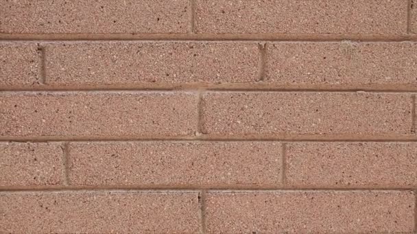 Beżowy Kolor Cegły Ściany Długie Cegły Średni Strzał Blisko — Wideo stockowe