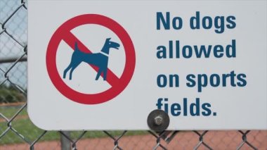 Spor sahalarına köpek giremez. Arka planda beyzbol elması olan tabela, kırmızı ve siyah renkli çizilmiş köpek resmi, beyaz arkaplan üzerine siyah başlık yazısı.