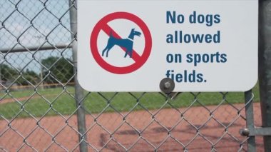 Spor sahalarına köpek giremez. Arka planda beyzbol elması olan tabela, kırmızı ve siyah çizili köpek resmi, beyaz arka planda siyah başlık yazısı, orta resim.