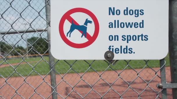Não São Permitidos Cães Campos Esportivos Sinal Com Diamante Beisebol — Vídeo de Stock