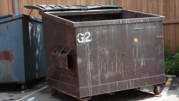 Prázdný Kontejner Odpadky Otevřeným Víkem Další Kontejner Ním Obklopený Dřevěným — Stock video
