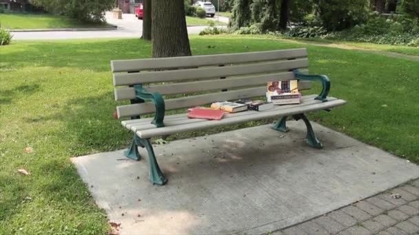 公园的板凳 上面放着各种各样的书 没有人 绿色的扶手和腿 在水泥板上 后面有树木和住宅区街道 拐角射击 — 图库视频影像