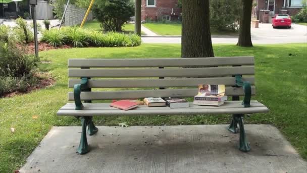 Bangku Parket Taman Dengan Berbagai Macam Buku Atasnya Dan Tidak — Stok Video