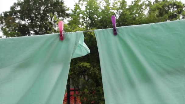 軽い緑の青いベッド シートはピンクおよび紫色のプラスチック クリップの布の布および木が付いている衣服ラインで掛けられ 風で吹く漂う 中型ショット — ストック動画