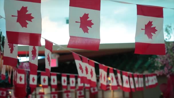 Massa Små Mini Miniatyr Kanadensiska Papper Flaggor Hängande Blåser Från — Stockvideo