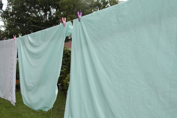light green blue bed sheets hanging on clothesline with pink and purple plastic clips clothespins and trees behind, wide medium shot