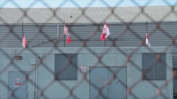 Four Canadian Canada Flags Blowing Wind Next Each Other Rooftop — Stock Video
