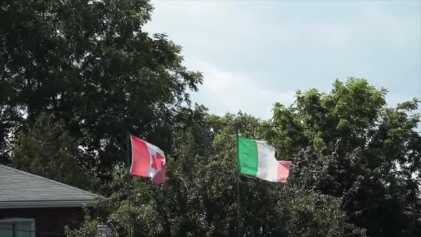 カナダのカナダの旗とイタリアの旗やアイルランドの国旗をリッピングし 木や背後にある空と別の旗のポールで互いに隣り合って振り ワイドショット — ストック動画