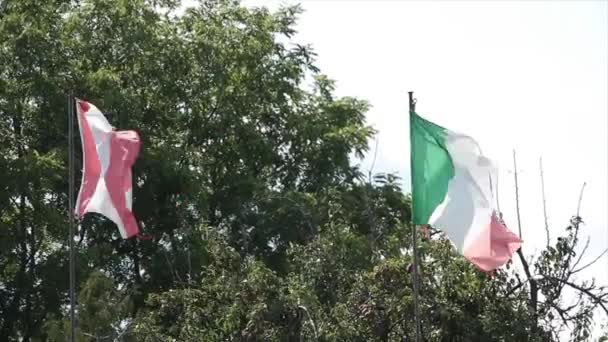 Kanadyjska Flaga Kanady Noszona Włoska Flaga Lub Irlandzka Flaga Powiewająca — Wideo stockowe