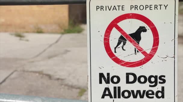 私有財産 犬は交差した犬のイラストとのサインを許可されていません 白黒と赤 ぼやけた背景 — ストック動画