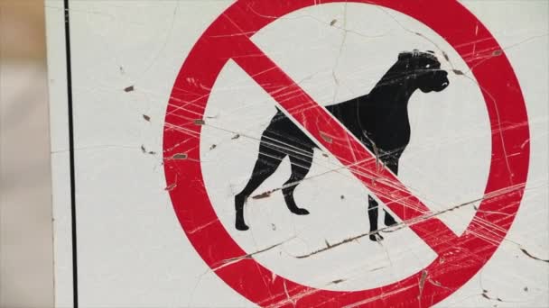 Žádní Psi Nepovoleni Ilustrace Psa Přeškrtnutého Znak Bílá Černá Červená — Stock video