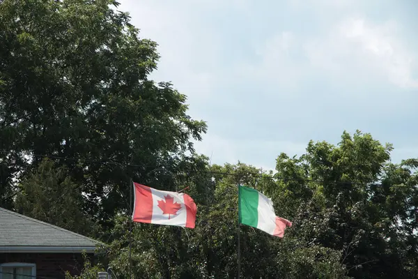 加那底的加拿大国旗 挂着撕破的意大利国旗或爱尔兰国旗 彼此摇曳在分开的旗杆上 后面有树木和天空 枪林弹雨 — 图库照片