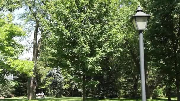 Uitgeschakeld Zwarte Lamp Lantaarnpaal Met Bomen Achter Park Buiten Buiten — Stockvideo