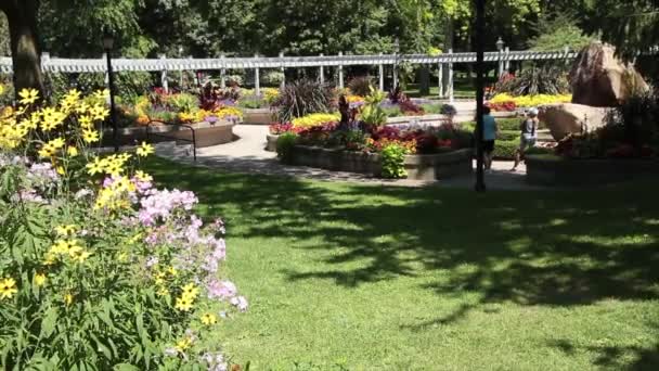 Botanisk Trädgård Med Gångar Trä Överfart Struktur Växter Sten Struktur — Stockvideo