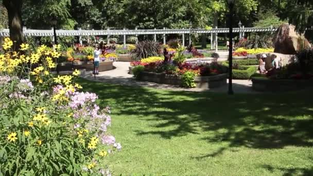 Botanisk Trädgård Med Stigar Trä Överfart Struktur Växter Bergstruktur Blommor — Stockvideo