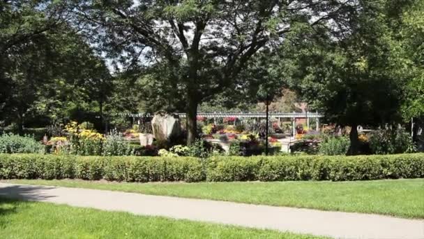여름에 오버패스 잔디와 식물원 중간에 나무와 — 비디오