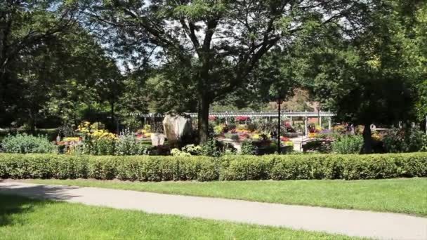 여름에 오버패스 잔디와 식물원 중간에 나무와 셔츠에 근로자 앞에서 — 비디오