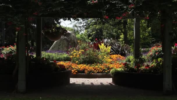 Botanisk Trädgård Med Vägar Trä Överfart Struktur Växter Rock Struktur — Stockvideo