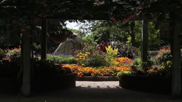 Botanische Tuin Met Paden Paden Hout Viaduct Structuur Planten Rots — Stockvideo