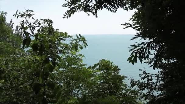 Озеро Океанська Вода Влітку Яскравий День Гілками Листя Дме Передньому — стокове відео