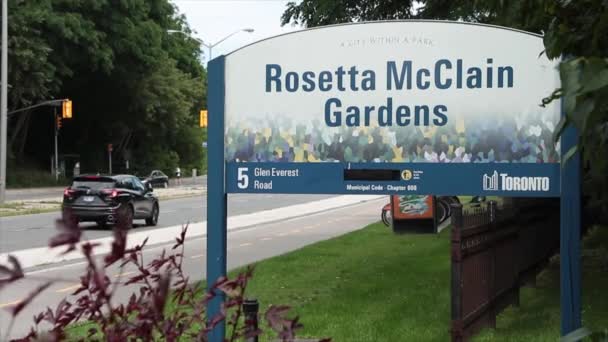 로제타 맥클린 토론토의 거리와 자동차 통과와 보도와 게시물에 잔디에 — 비디오
