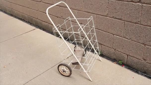Two Wheel White Metal Grocery Shopping Cart Newspaper Cart Black — Stock Video