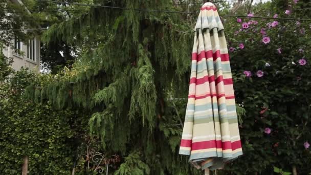 Gesloten Terras Buiten Buiten Tafel Parasol Met Groene Bomen Struik — Stockvideo