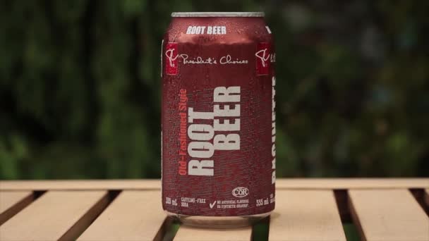 Президенти Вибирають Кореневе Пиво Може Содовоїти Поп Відкритому Повітрі Світло — стокове відео