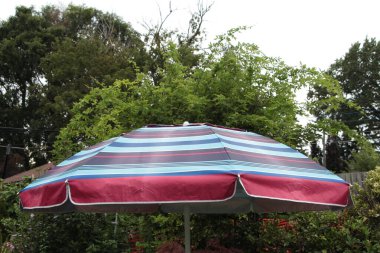 Dışarıda açık teras masası şemsiyesi. Ağaçlar, çalılar ve gökyüzü, kırmızı mavi çizgili.