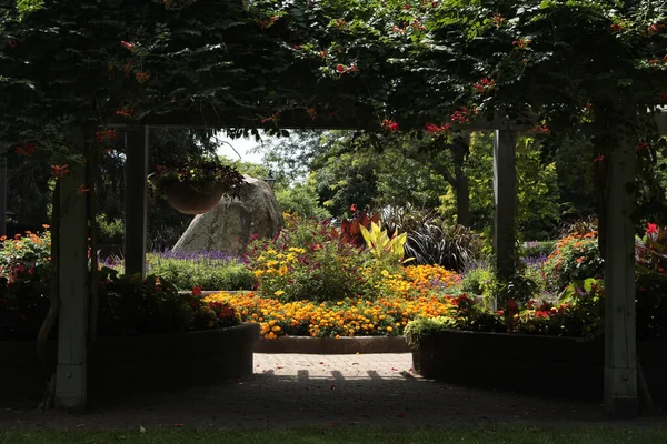 Botanischer Garten Mit Wegen Wege Holzüberführung Struktur Pflanzen Felsstruktur Blumen — Stockfoto
