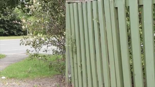 Gard Din Lemn Verde Strâmb Lângă Iarbă Copac Stradă Rutieră — Videoclip de stoc