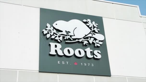 Roots Est 1973 Sign Logo Front Store Facade Picture Illustration — Stock Video