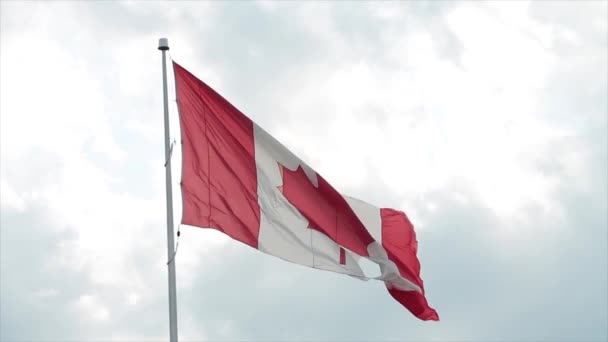 Grande Bandeira Canadense Canada Mastro Bandeira Com Buraco Rasgo Nele — Vídeo de Stock