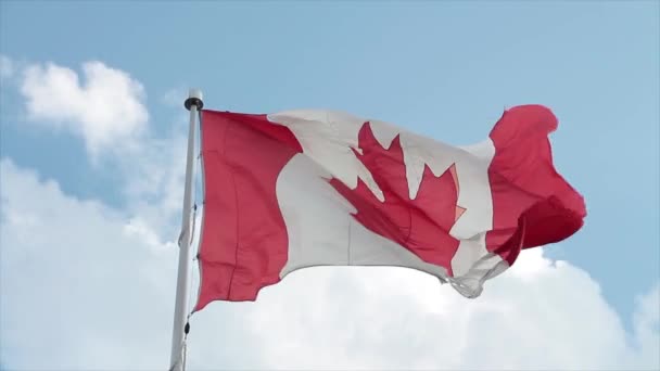 Bendera Canada Kanada Besar Tiang Bendera Dengan Lubang Robek Dalamnya — Stok Video