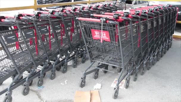 Grocery Shopping Carts Buggies Parked Each Other Corral Canopy Rain — Stock Video