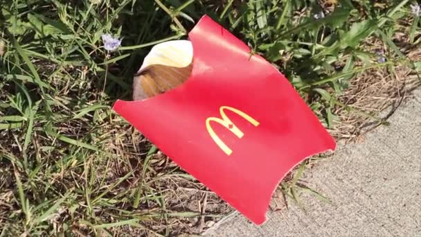 Mcdonalds Κόκκινο Σκουπίδια Σκουπίδια Τηγανητές Πατάτες Χάρτινο Δοχείο Κάτοχος Λυγισμένα — Αρχείο Βίντεο