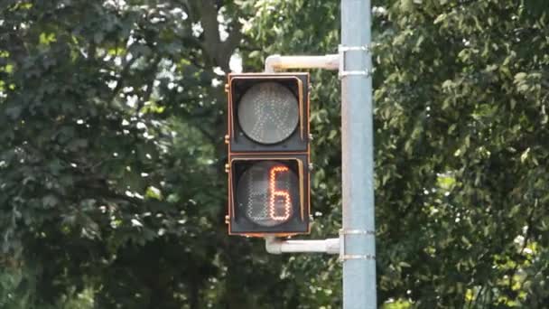 Nedtelling Tall Crosswalk Gangvei Ikke Til Håndstopp Rødt Symbol Trafikklys – stockvideo