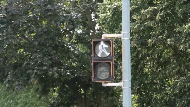 Berjalan Seberang Jalan Dengan Simbol Putih Lalu Lintas Lampu Lalu — Stok Video