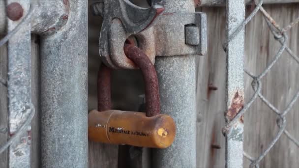 오래된 울타리 게이트 자물쇠 잠금에 클로즈업 여름에 — 비디오