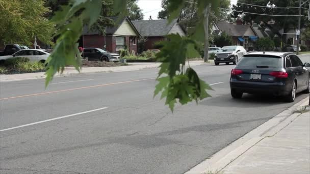 Road Street Bend Curve Tree Branch Leaves Blowing Sidewalk Foreground — Stok Video