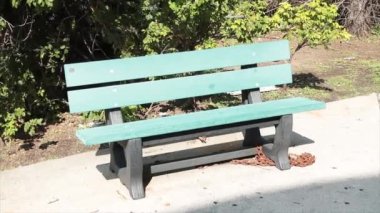 boş yeşil tek başına tek başına ahşap park asfalt çimento üzerinde arkasında ağaç çalısı esiyor