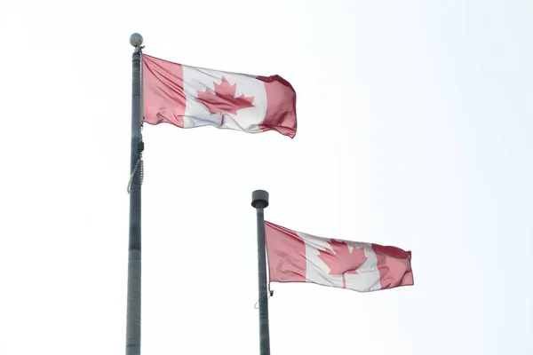 Two Canadian Canada Flags Flagpoles Blowing Waving Well Wind One — Stock Photo, Image