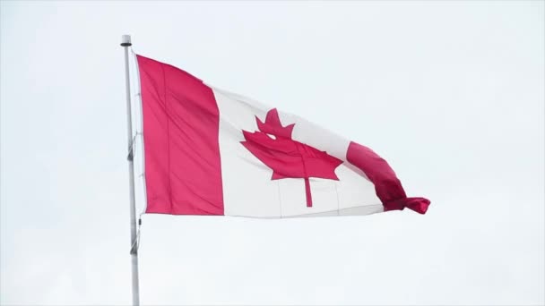 Canada Kanadensisk Flagga Blåser Vinden Lätt Flaggstången Utanför Exteriör Med — Stockvideo