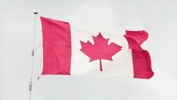 カナダのフラッグポールで風に吹くカナダの旗 後ろの空 クローズアップ — ストック動画