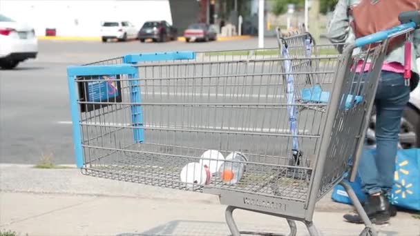 Yol Kenarındaki Alışveriş Arabası Mavi Gümüş Rengi Walmart Arkada Duran — Stok video