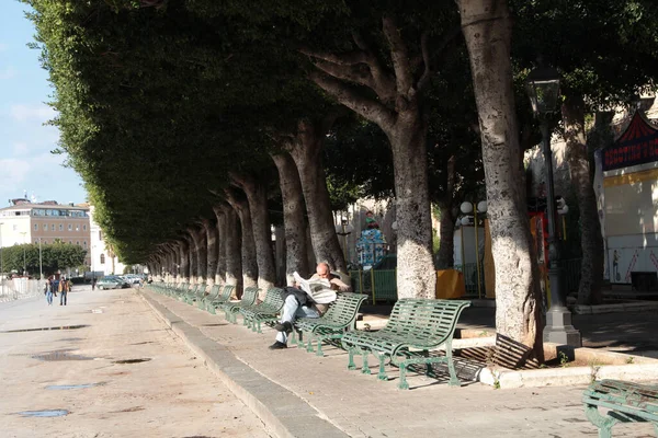 Syracuse Sicilya İtalya caddesi uzun sıra ağaç gölgelikleri ve arka planda yürüyen ve inşa eden bir kişi üzerine kağıt gazete okuyan bir adam.